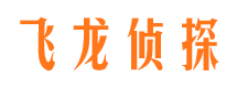 山城飞龙私家侦探公司